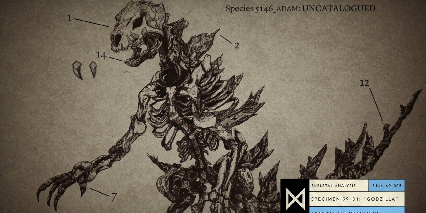Monarch Godzilla Skeleton