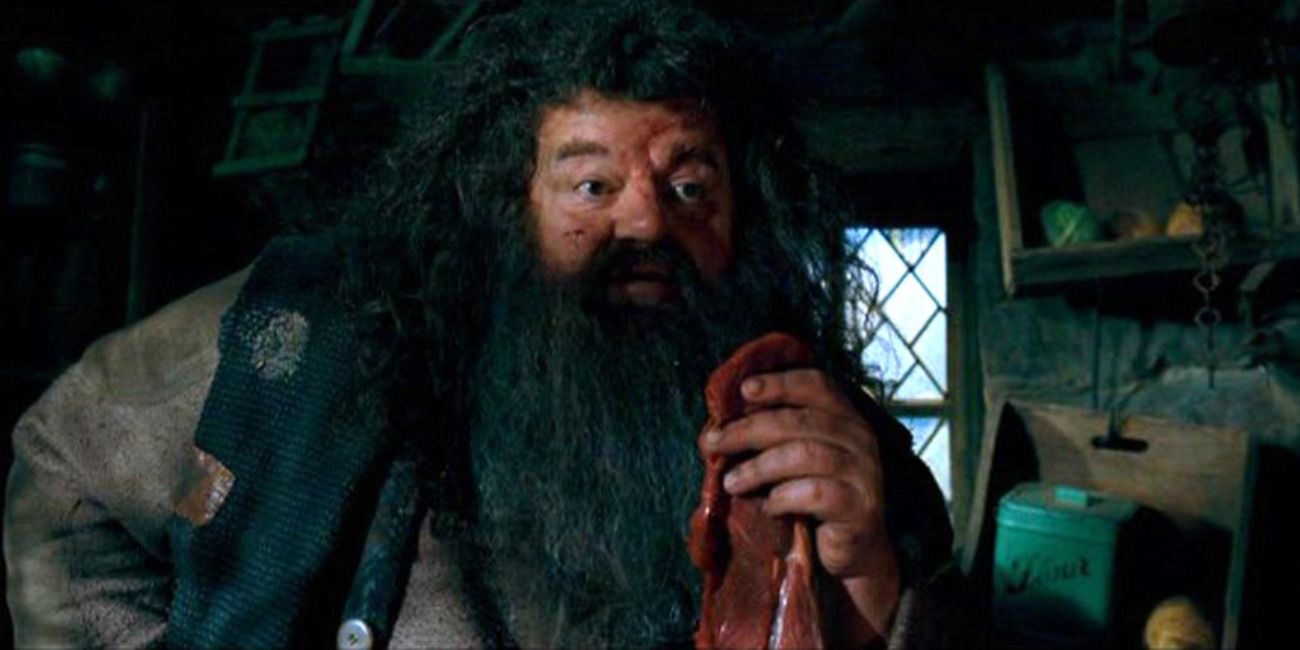 Harry Potter 10 Hagrids Hut Moments The Movies Missed Out On