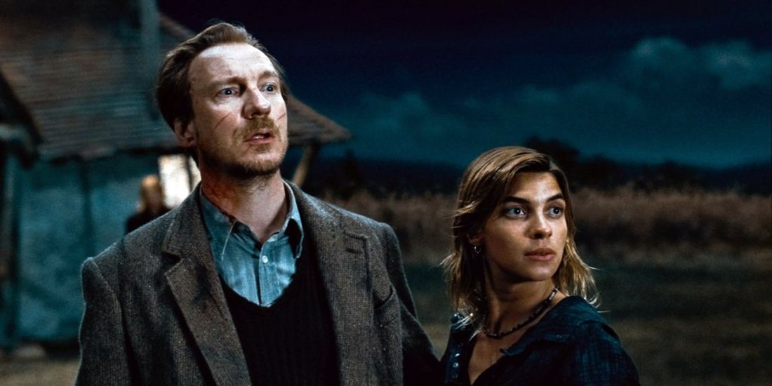 Lupin and Tonks from one of the Harry Potter movies.