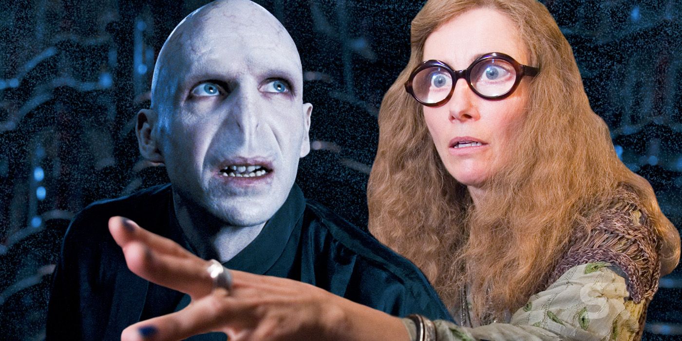 Harry Potter theory Trelawney knew Voldemorts soul was in Harry