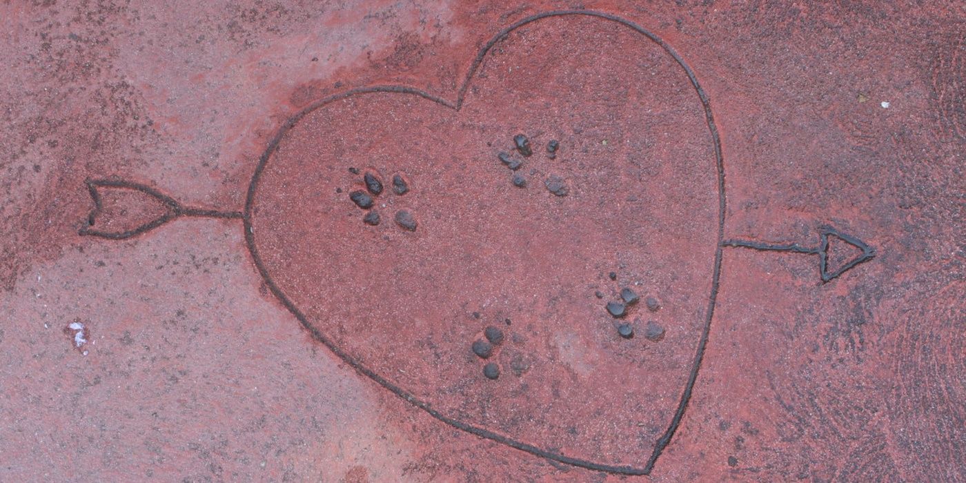 Sweet pawprint heart etching recreated in live-action movie