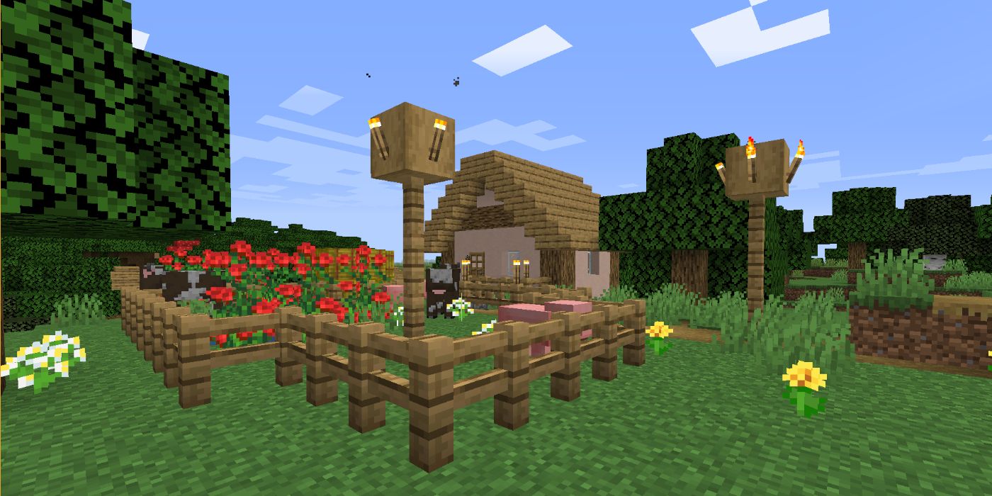 Minecraft Tips & Tricks on Taking The Perfect Picture