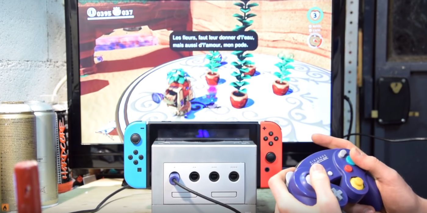 Nintendo Switch GameCube Dock Controller Port
