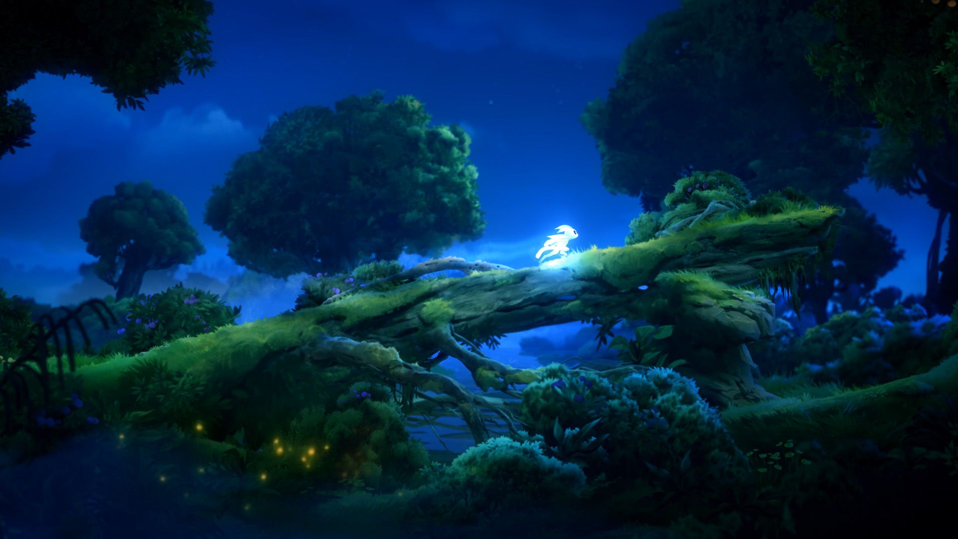 Ori and the Will of the Wisps Screenshot Forest