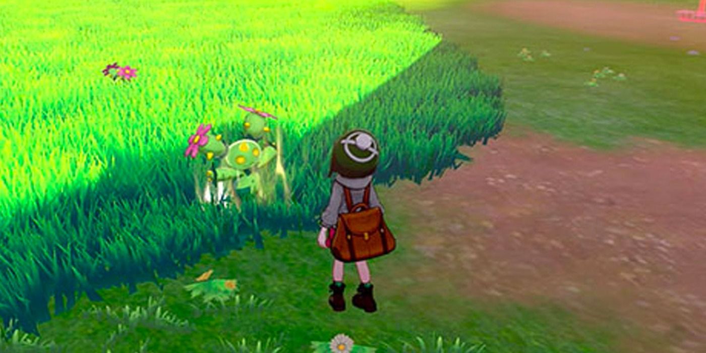Pokemon Sword Shield Brilliant Aura Wilds