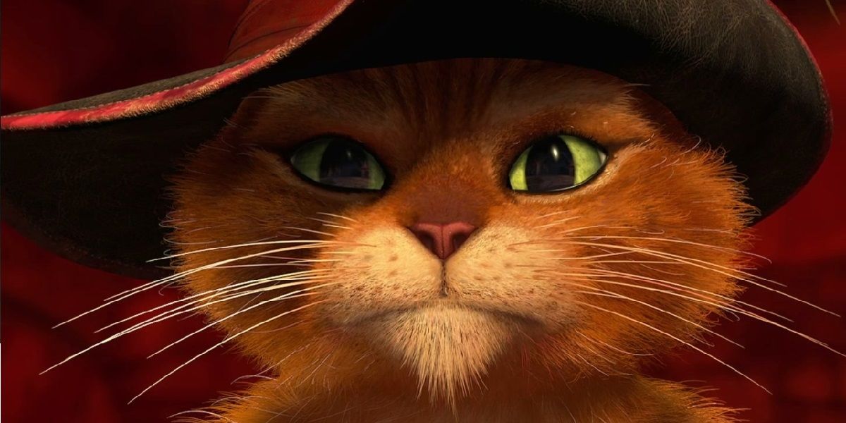 Close up of dreamworks' puss in boots