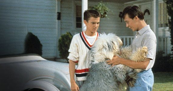 /wordpress/wp-content/uploads/2020/02/Shaggy-Dog-Disney-e1582822819293-570x299.jpeg