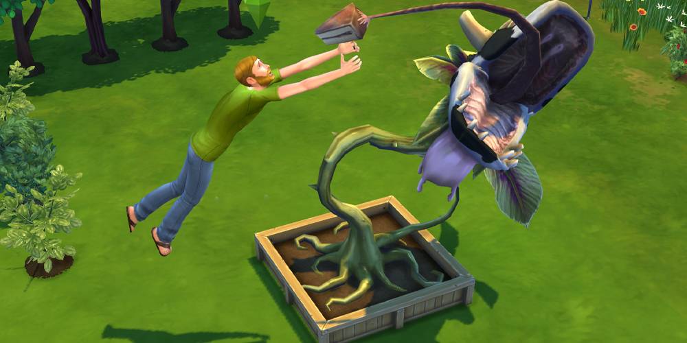 Um sim sendo comido por uma planta vaca no The Sims 4.