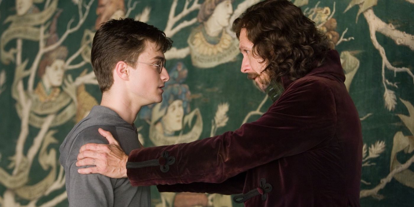 Sirius comforts Harry aftr the two talk about the Black family tree in Th Order of the Phoenix