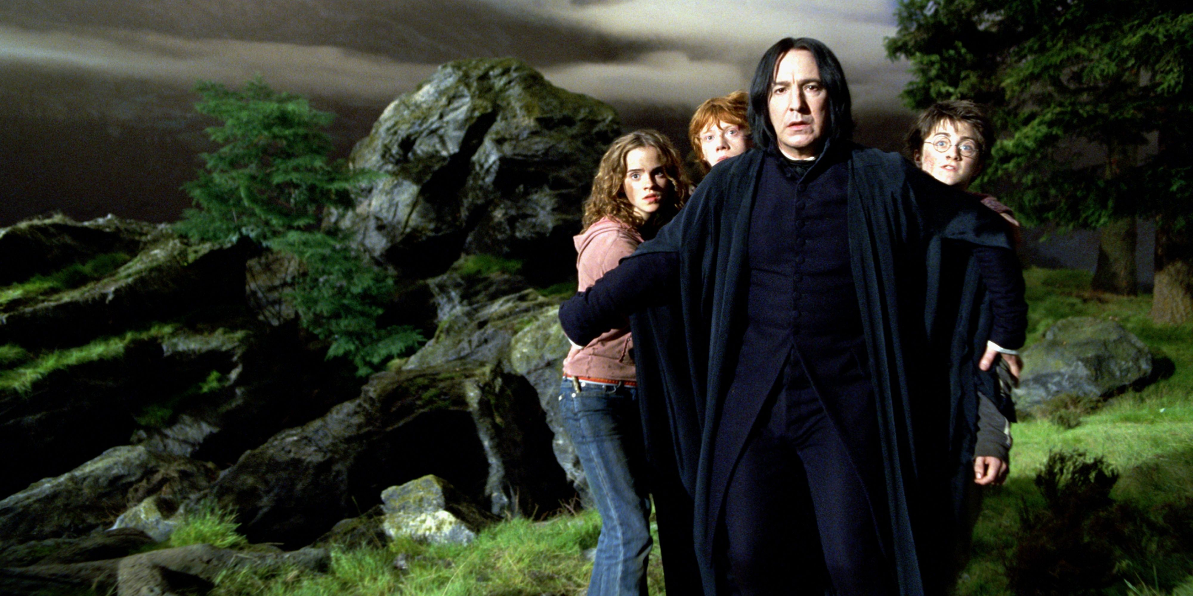 Snape Protecting Harry and his Gang