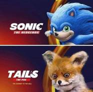 Sonic Hedgehog Memes Sonic Memes 185 Fandom Sonic Hedgehog Memes Sonic Memes 185 Fandom