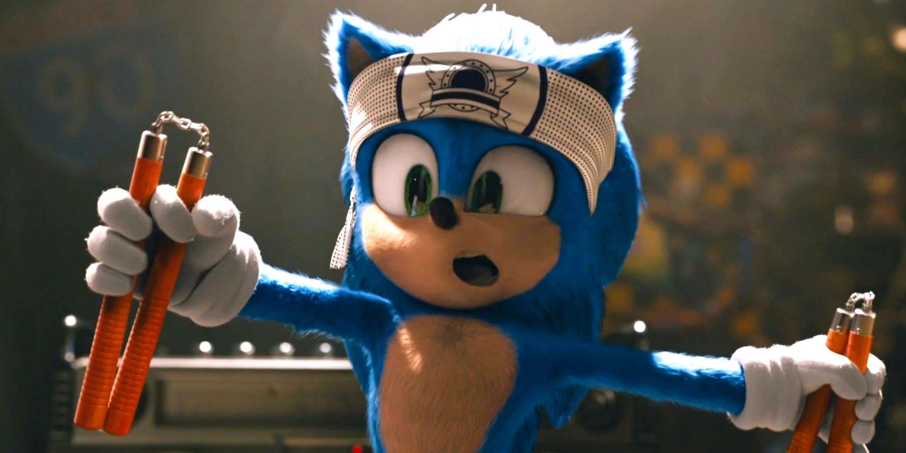 Sonic the Hedgehog with Nunchucks in movie