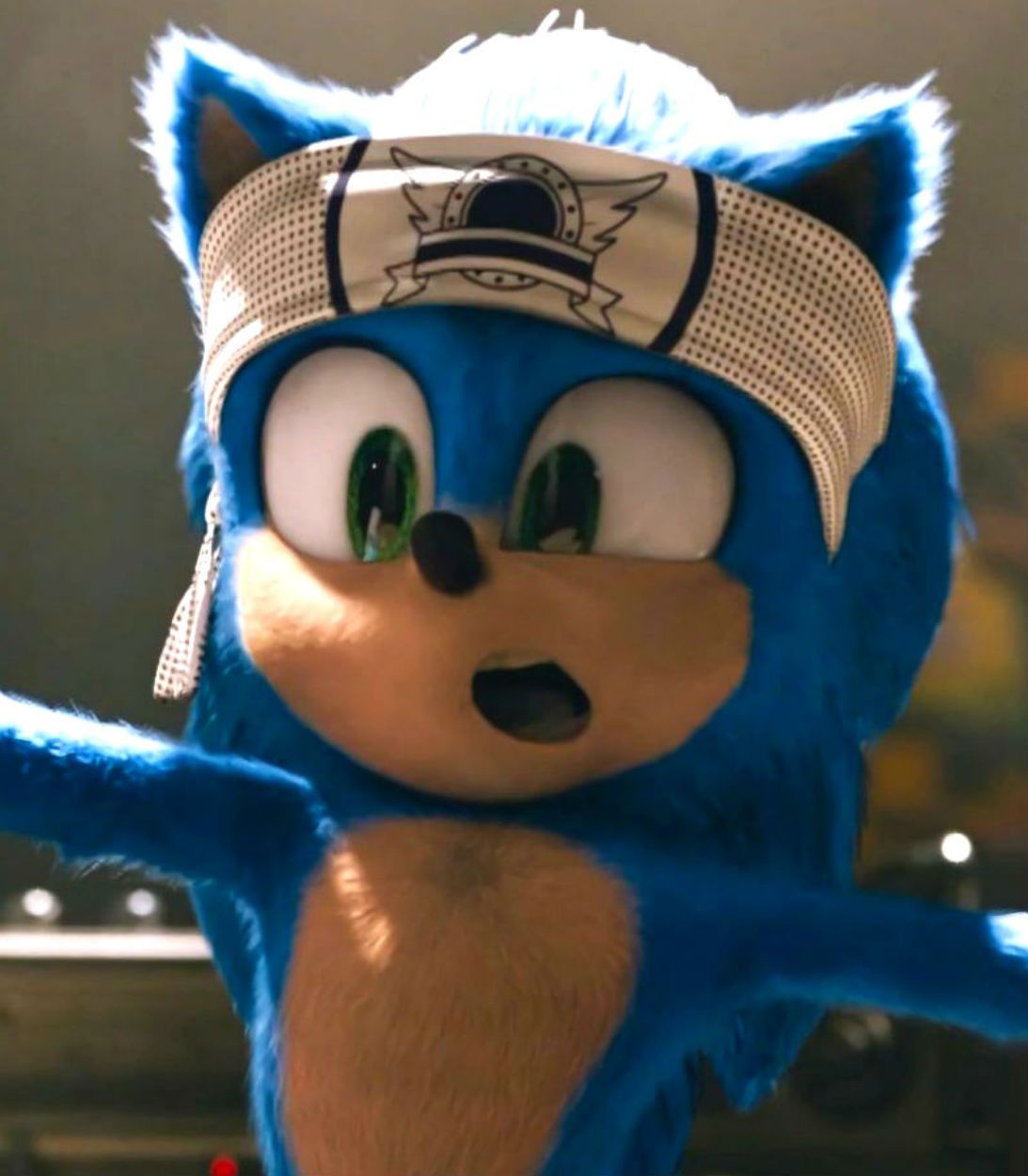 Sonic the Hedgehog working out VERTICAL