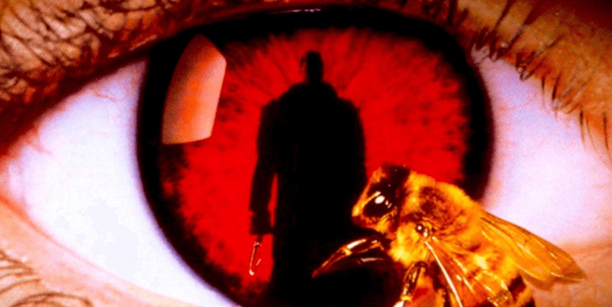 The Candyman reflected in a red eye with a bee.