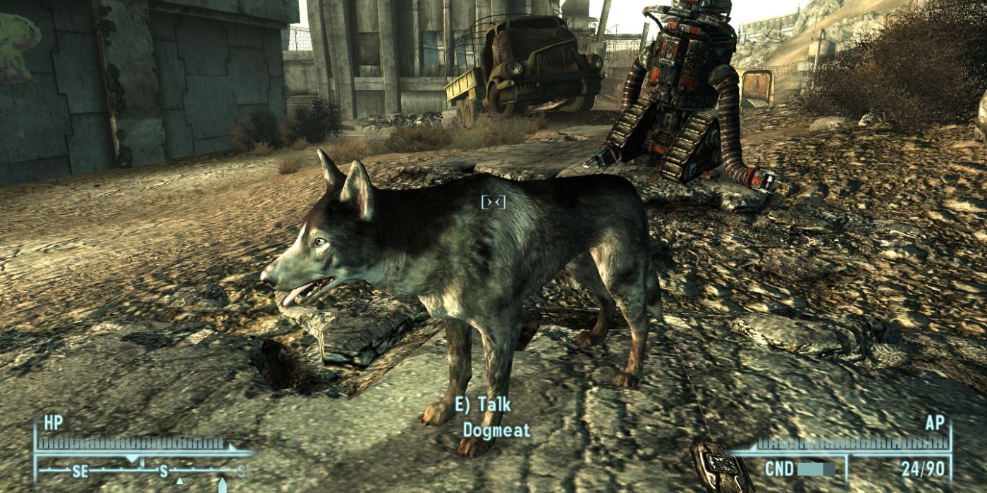 Fallout 3: Where To Find Dogmeat