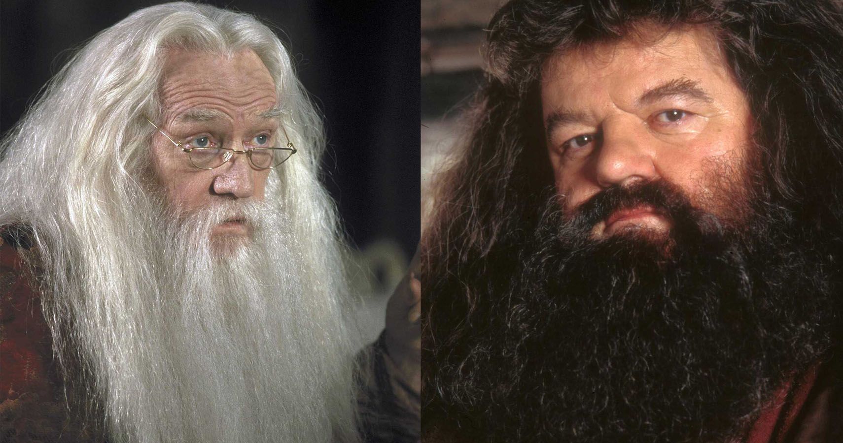 Harry Potter 10 Reasons Why Hagrid & Dumbledore Arent Real Friends