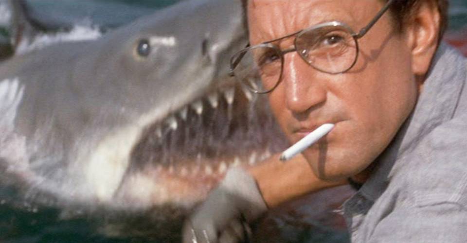 jaws-bruce-first-appearance.jpg?q=50&fit