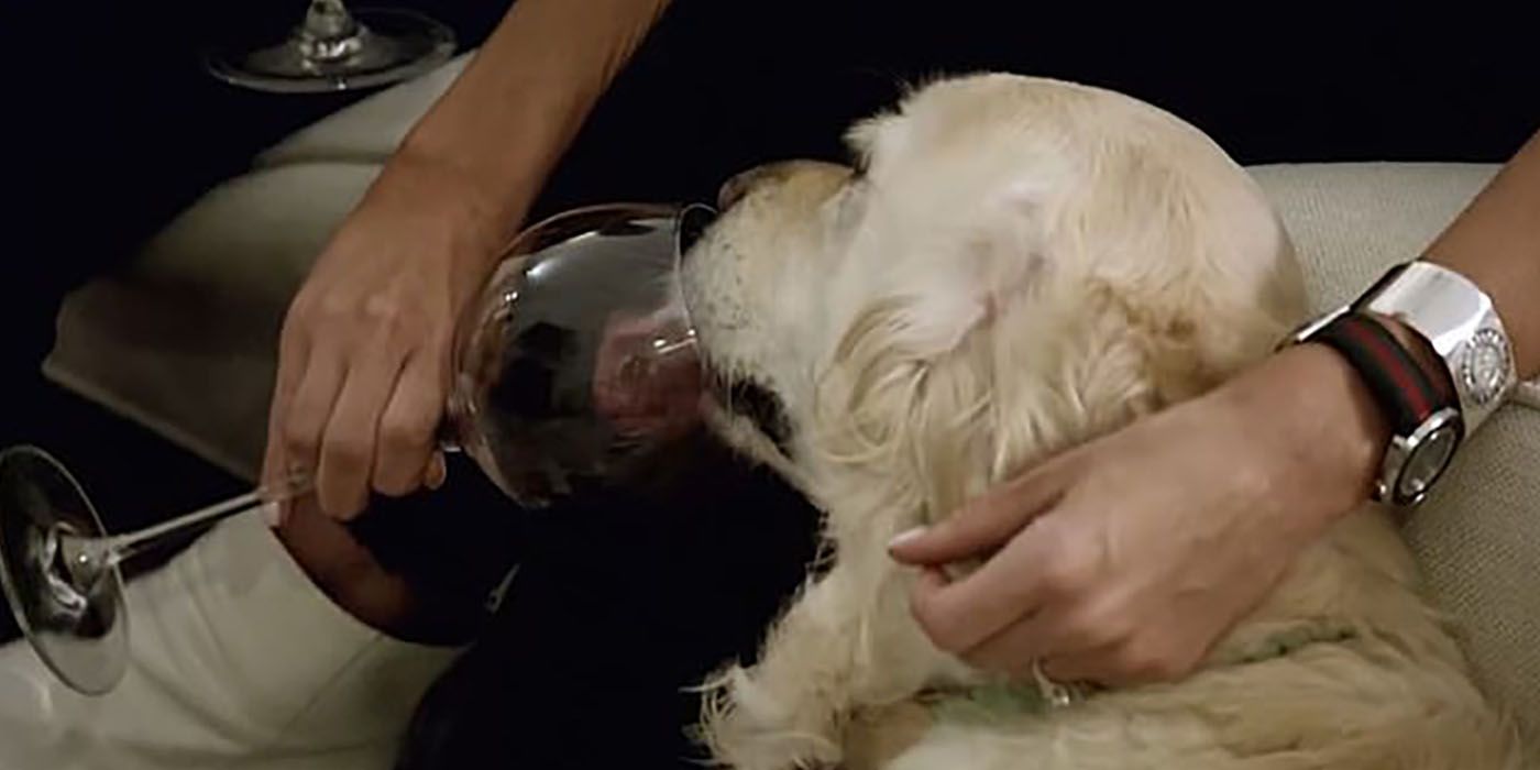 Jessica giving her dog wine on Love Is Blind