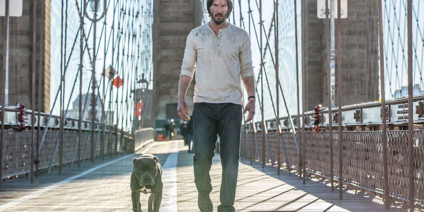 12 Things You Didn t Know About John Wick s Dogs