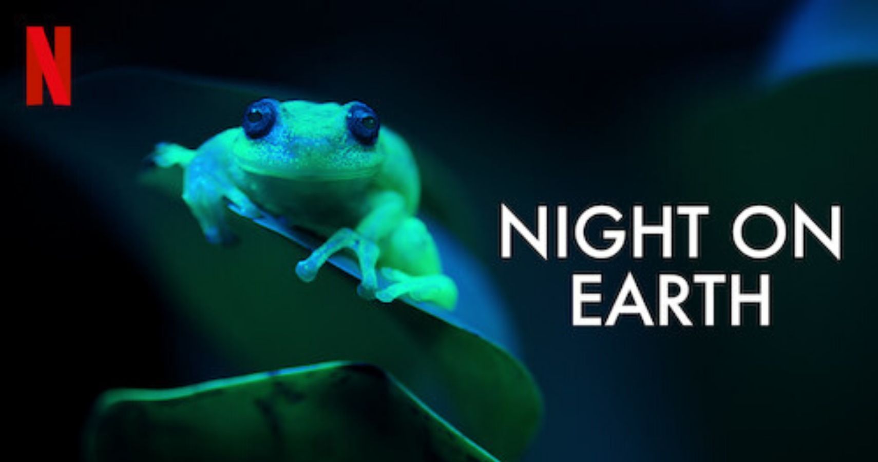 The title screen for Night on Earth showing a glowing frog on a leaf.