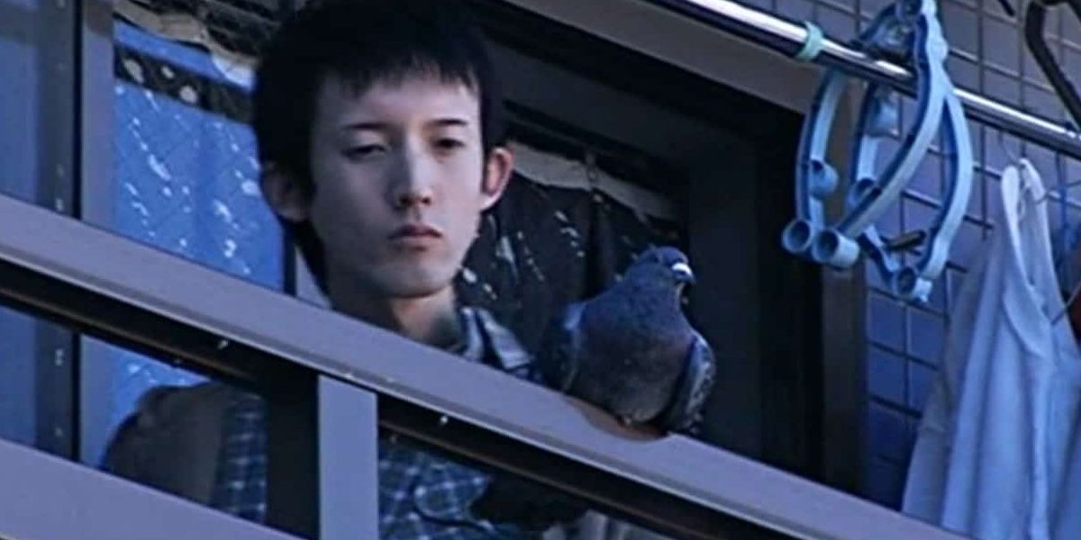A boy looks at a pigeon on a balcony in Noroi: The Curse.