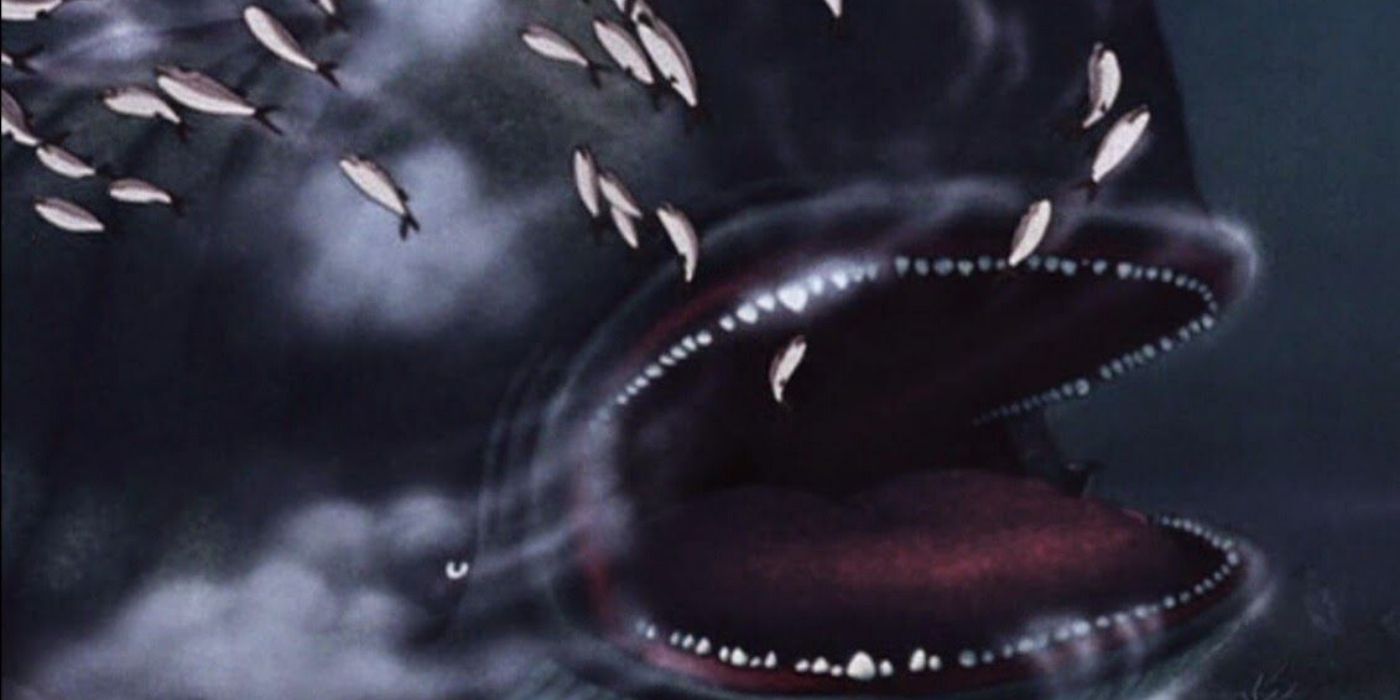 Pinocchio whale