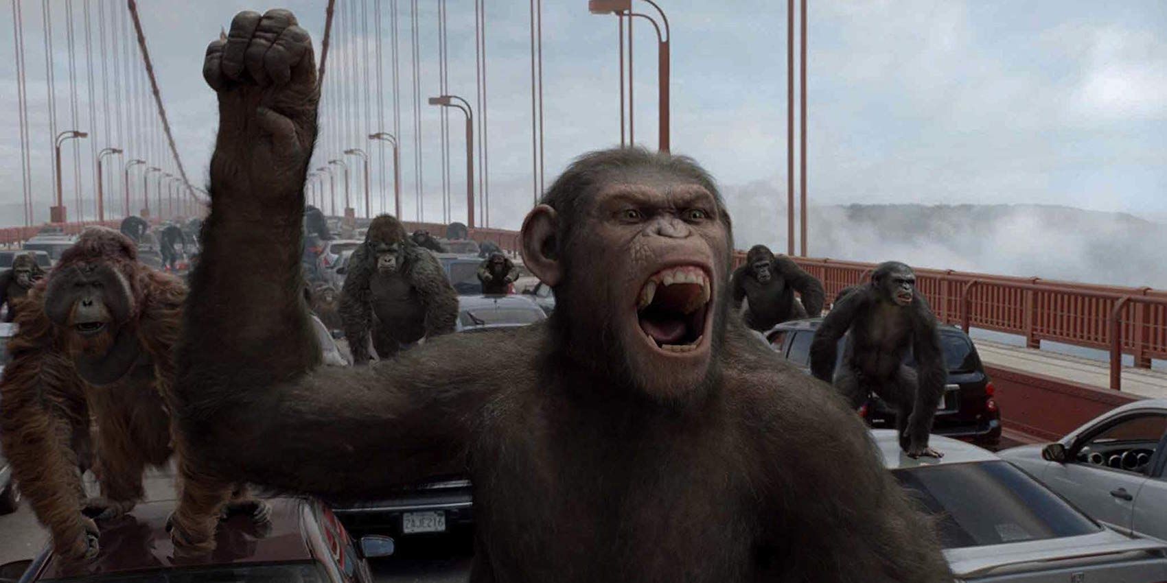 Caesar in Rise Of The Planet Of The Apes