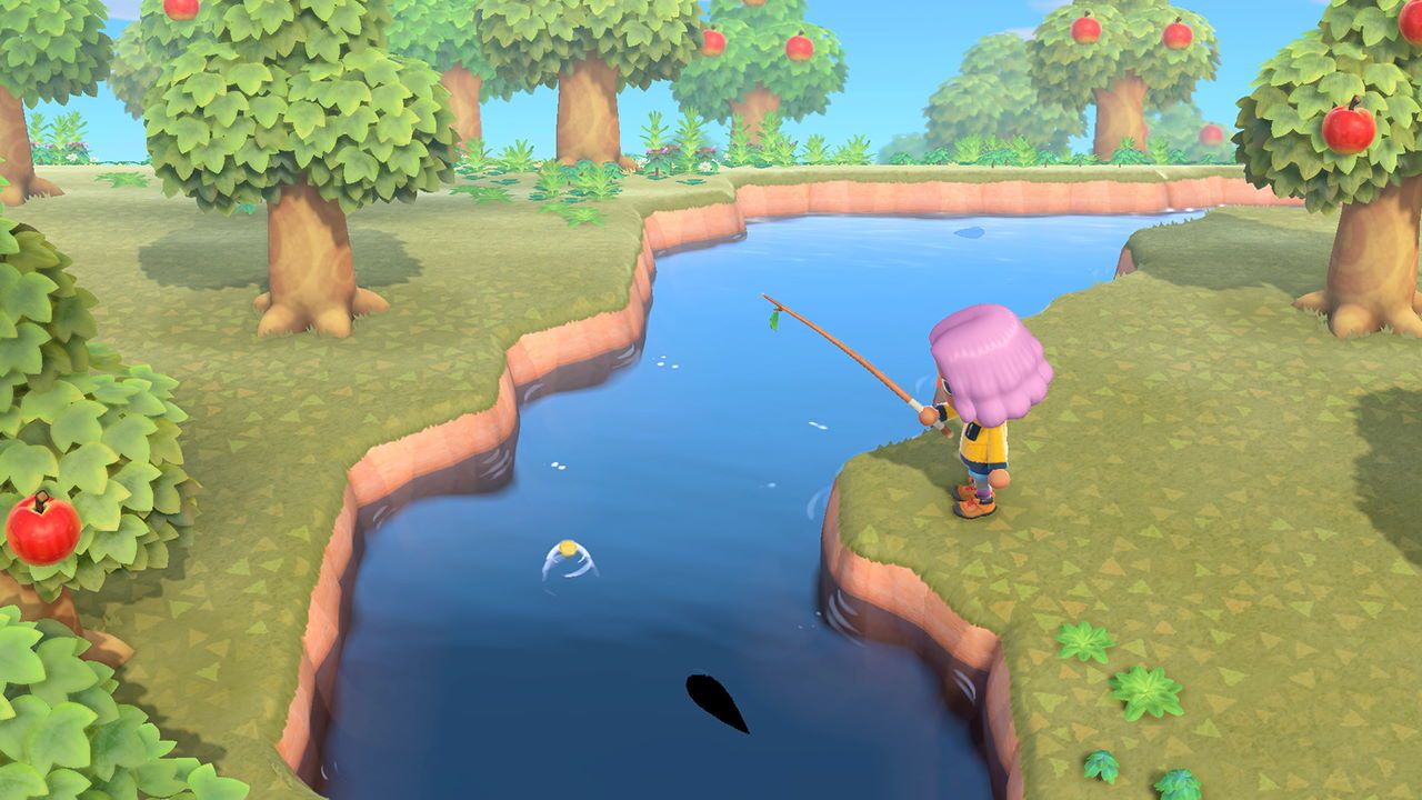 Animal Crossing New Horizons Fishing