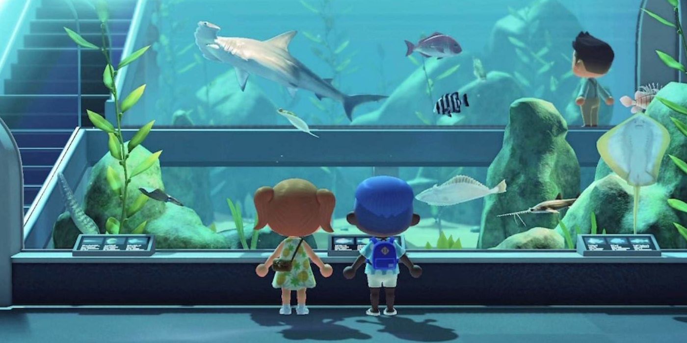 Animal Crossing New Horizons: Every Fossil Price For The Nooks Cranny Store