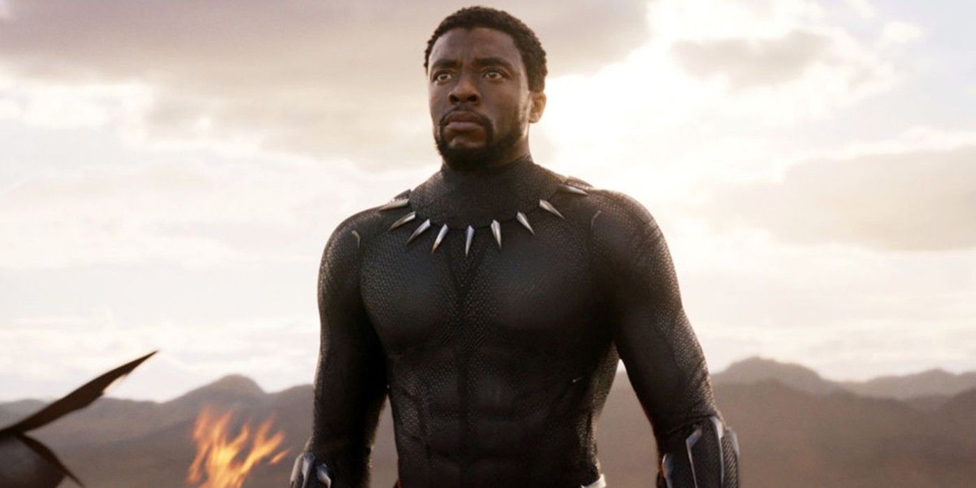 T'Challa as the Black Panther