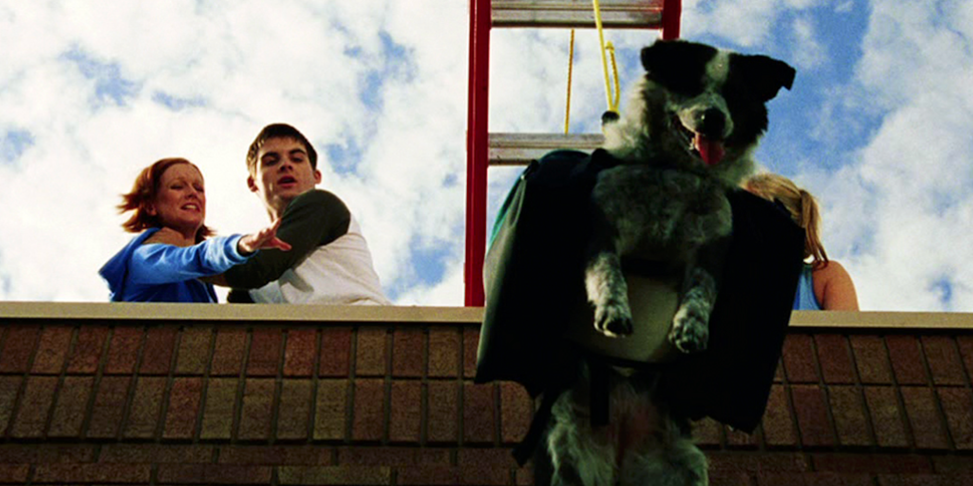 Chips, Dawn of the Dead