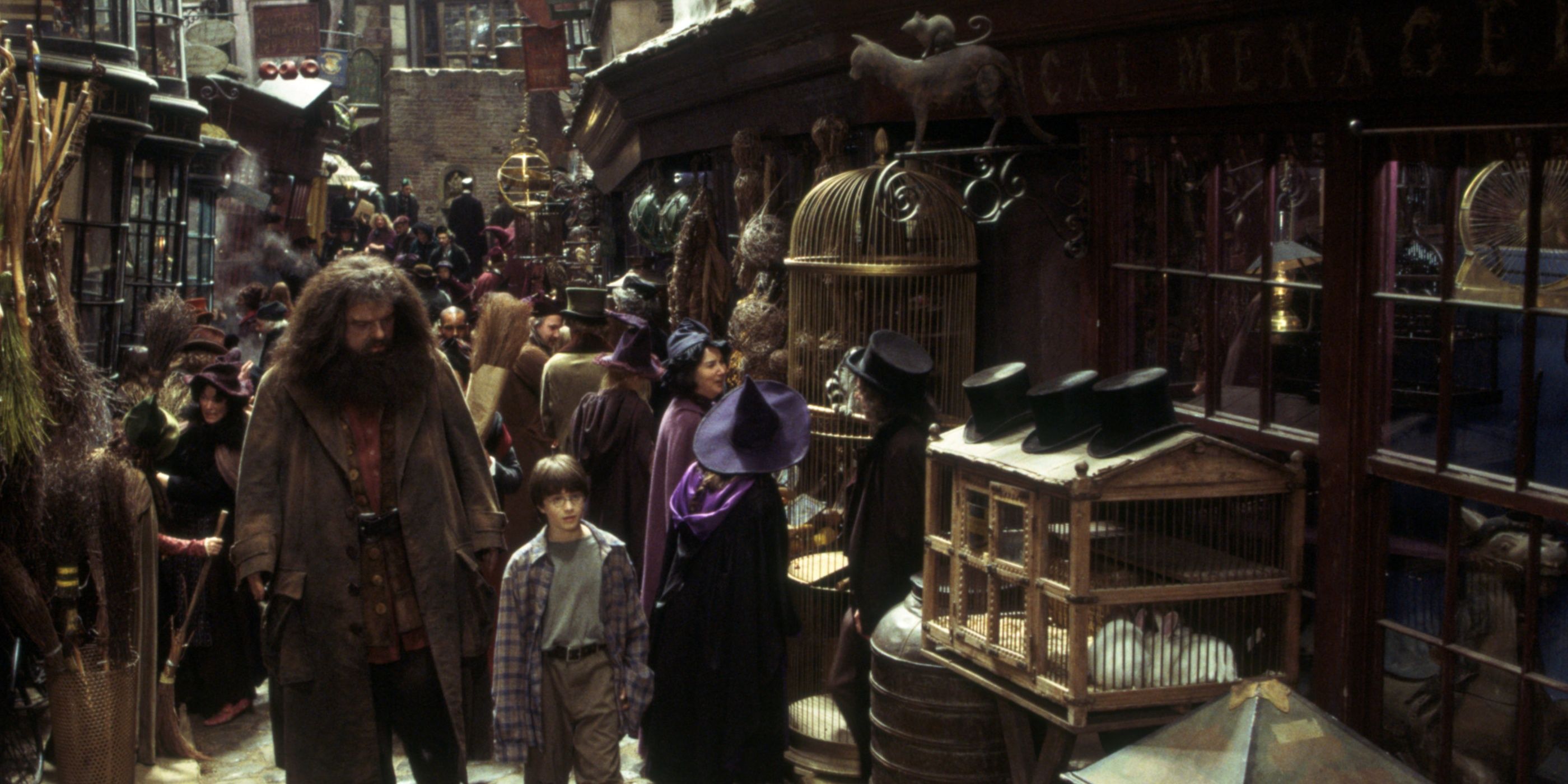 The Magical Menagerie in Harry Potter 