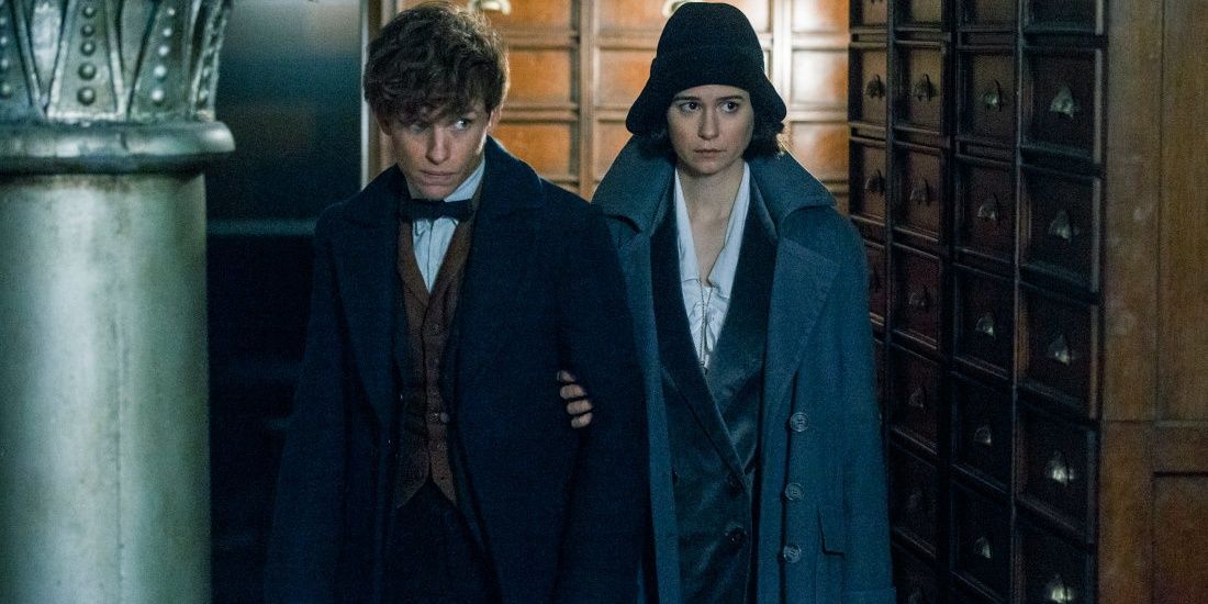 Fantastic Beasts: 5 Reasons Newt and Tina Are The Best Couple (& 5 ...