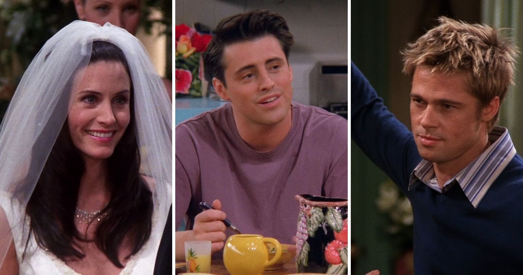 Friends 10 Characters Monica Should Have Been With (Other Than Chandler)