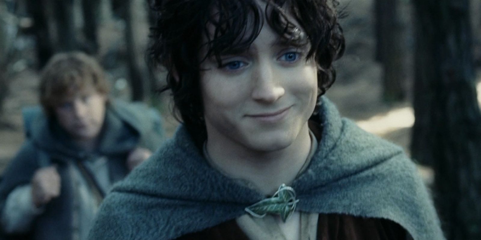 Frodo wouldn't have got far without sam Lord of the Rings