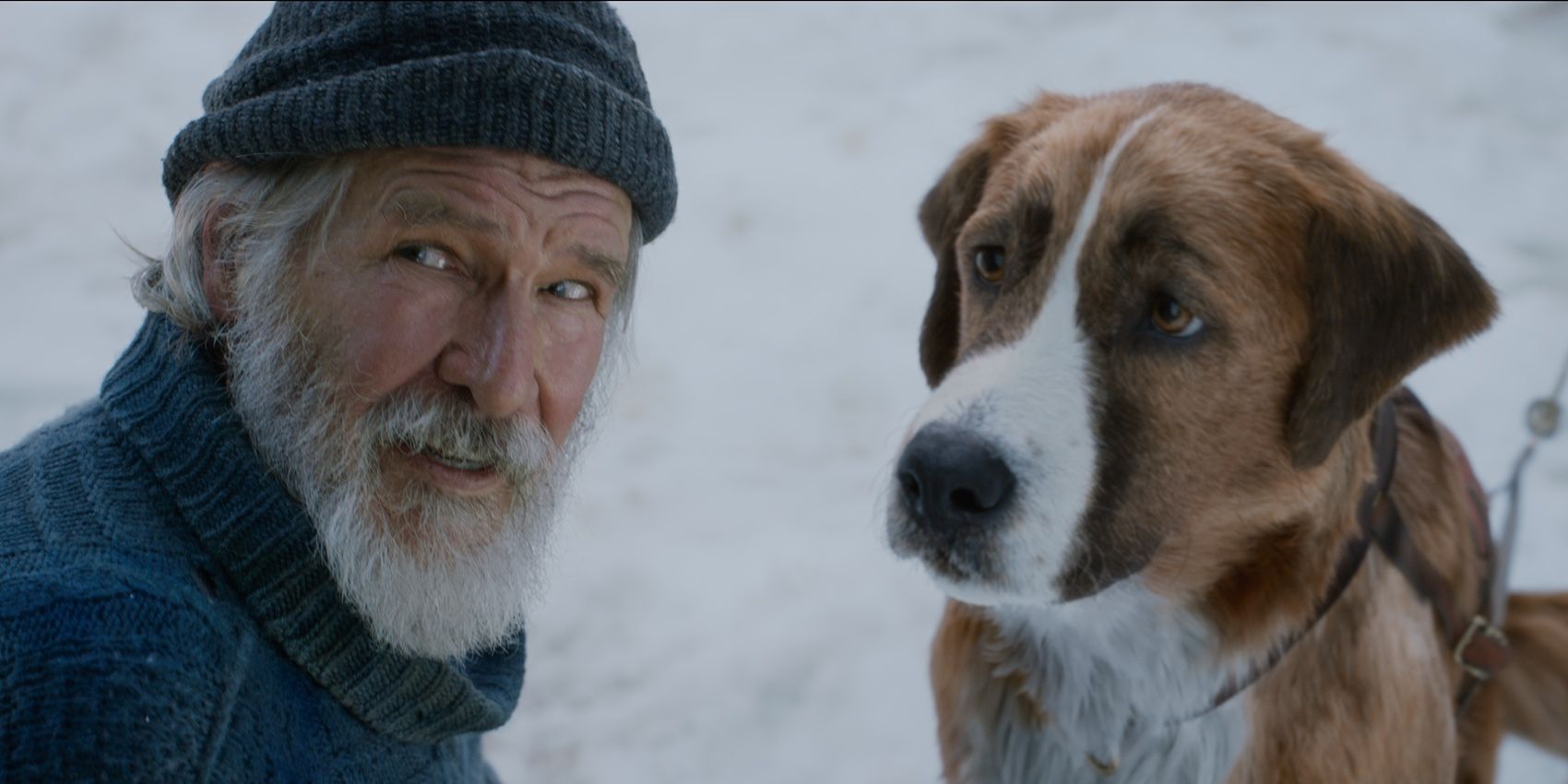 Harrison Ford and Buck in The Call of the Wild