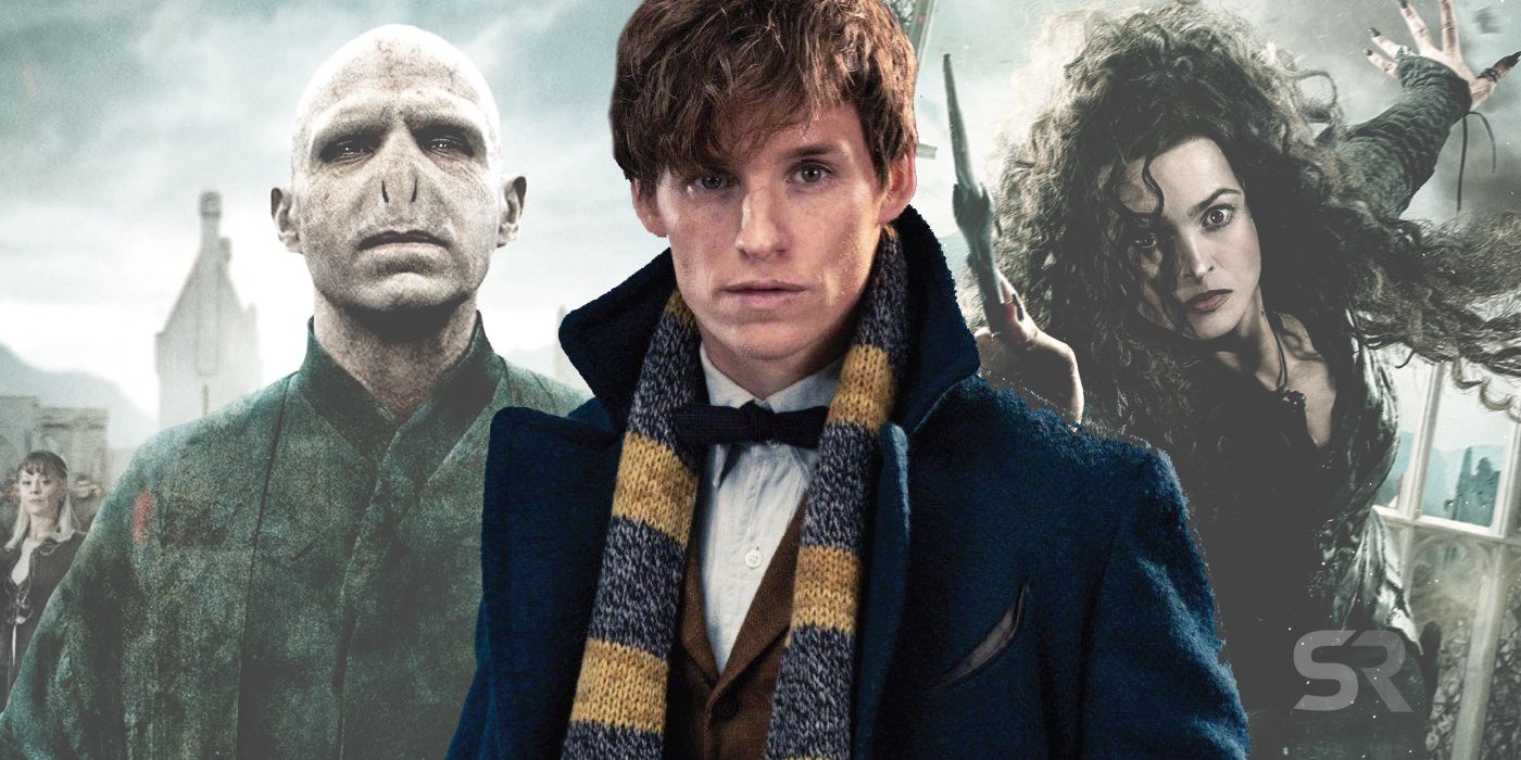 Harry Potter characters can appear in Fantastic Beasts movies