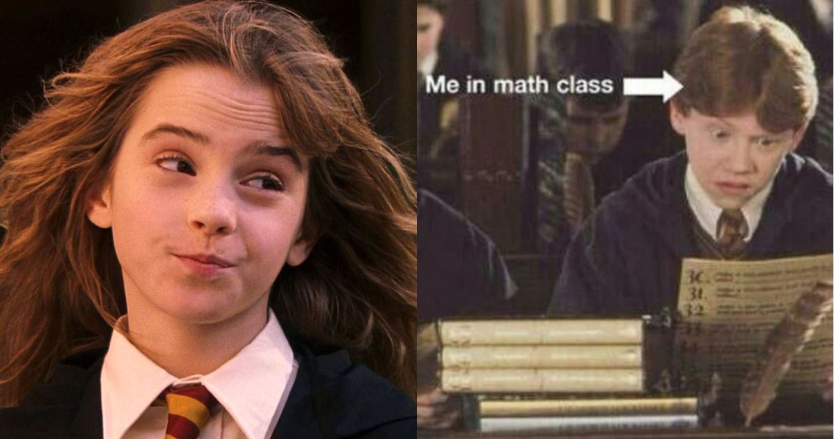 Funny Ron and Hermione meme