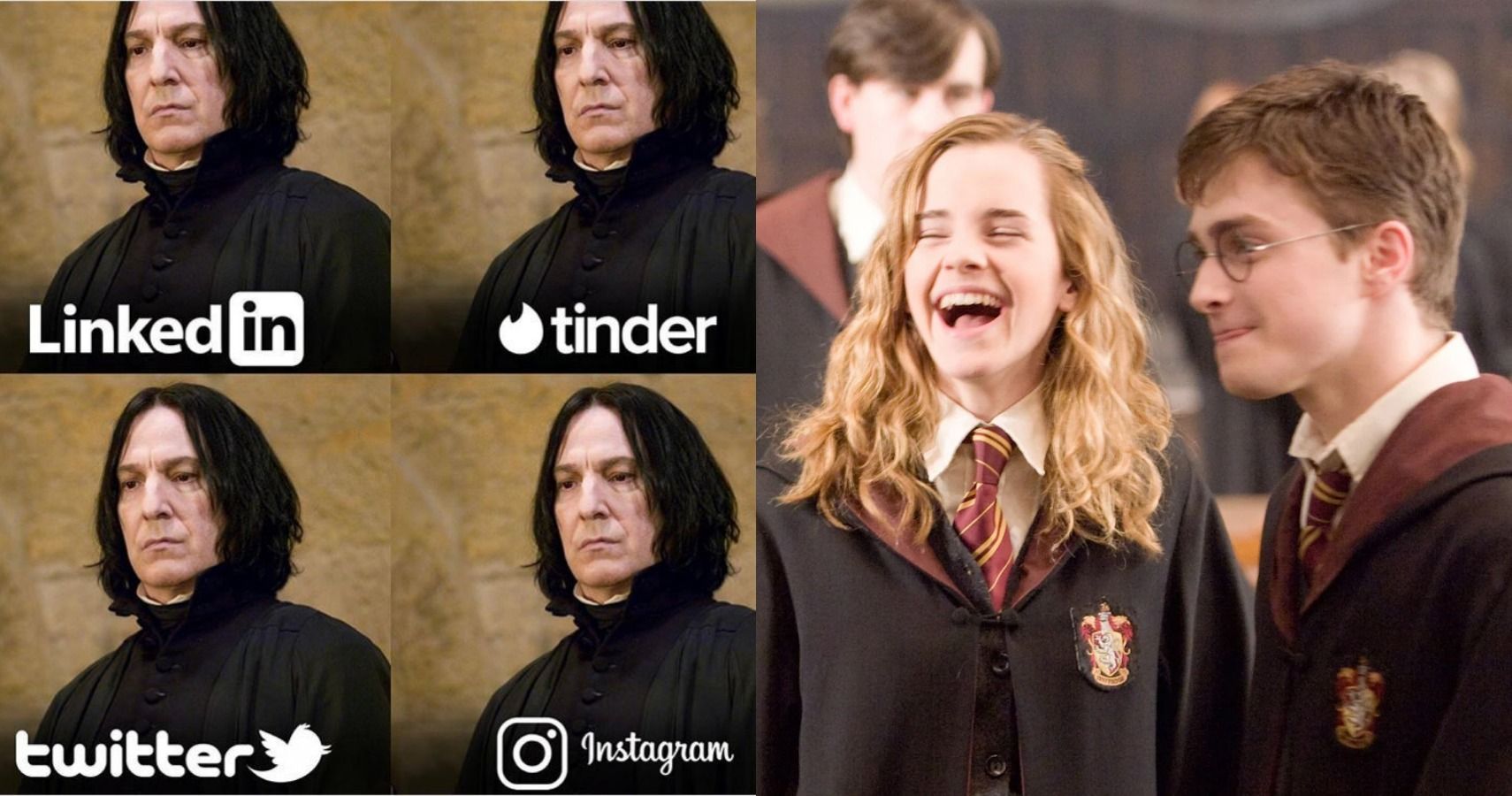 Harry Potter: 10 Memes That Prove Snape Was A Comedic Genius
