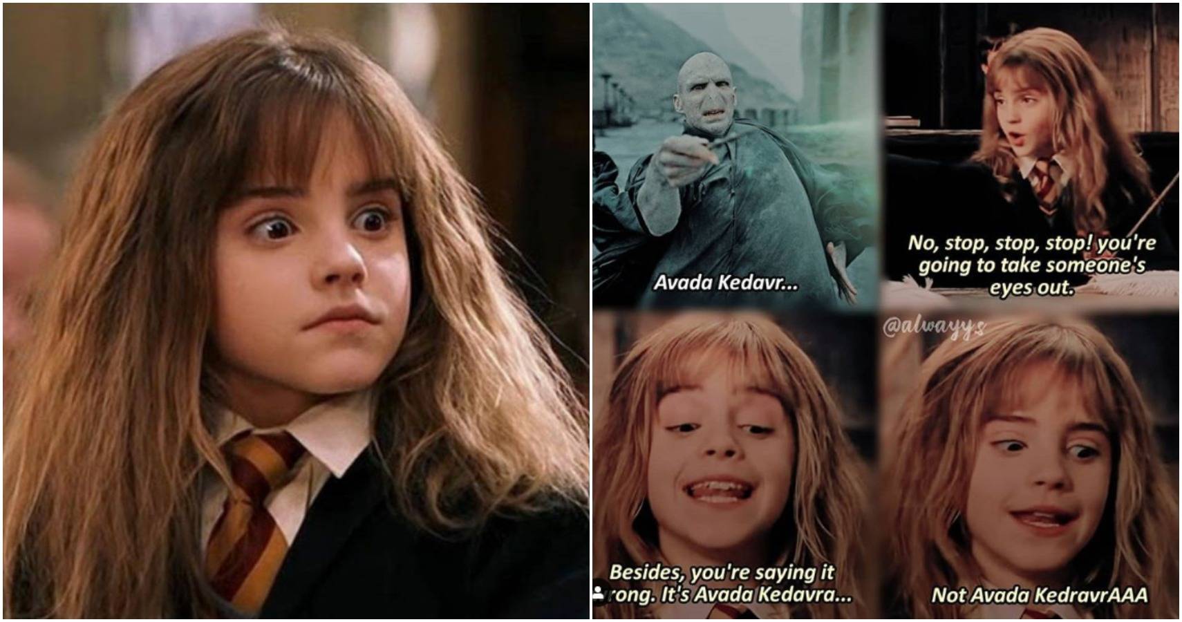 Hermione granger harry potter memes