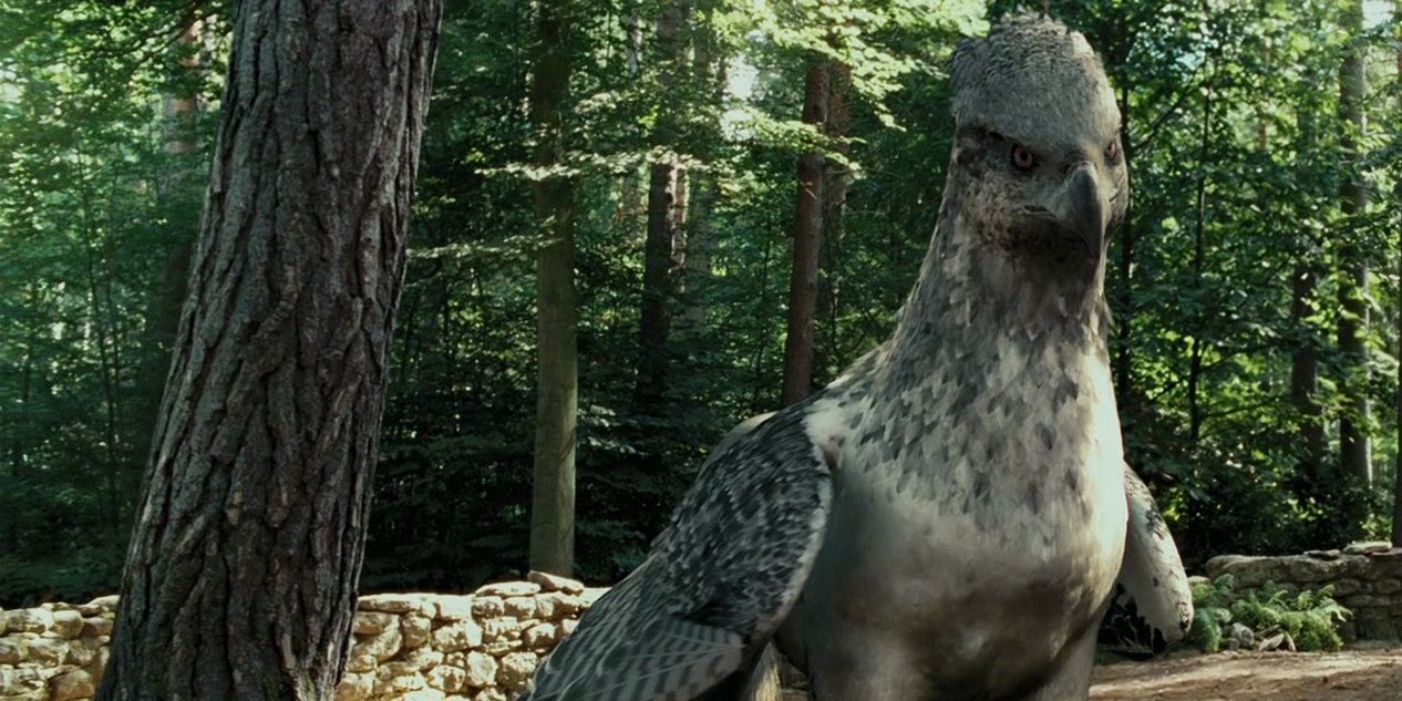 10 Most Iconic Harry Potter Creatures Sorted Into Their Hogwarts Houses