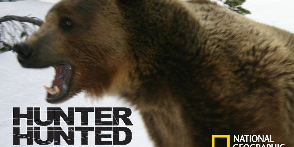 10 Canceled Nat Geo Shows You've Probably Forgotten About