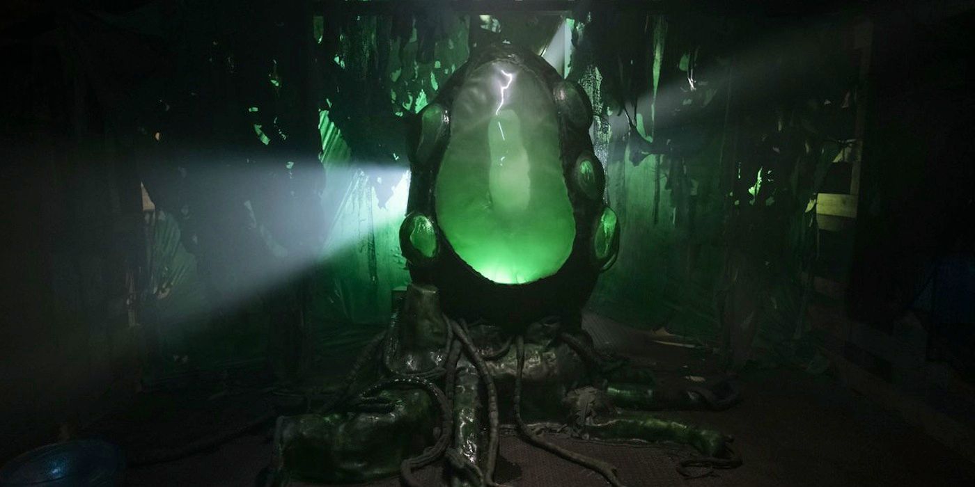 Into The Dark Crawlers Cocoon Wide
