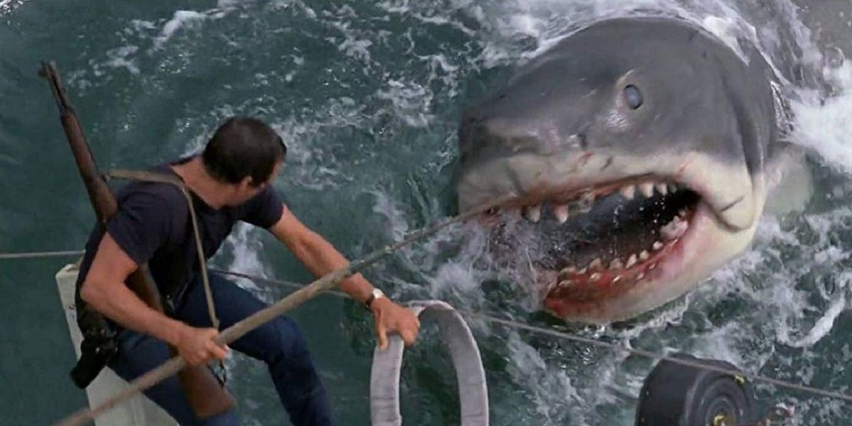Um personagem tentando lutar contra o tubarão em Tubarão