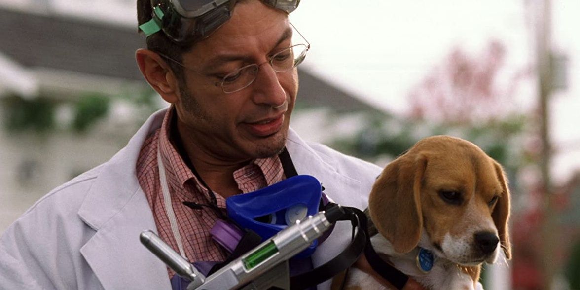 JeffGoldblumCatsandDogs Cropped