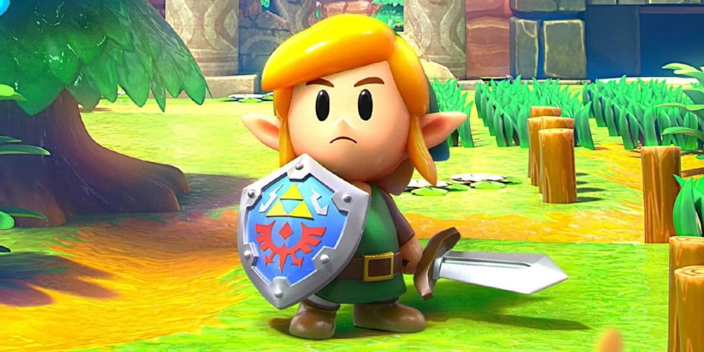 Legend Zelda Toon Link