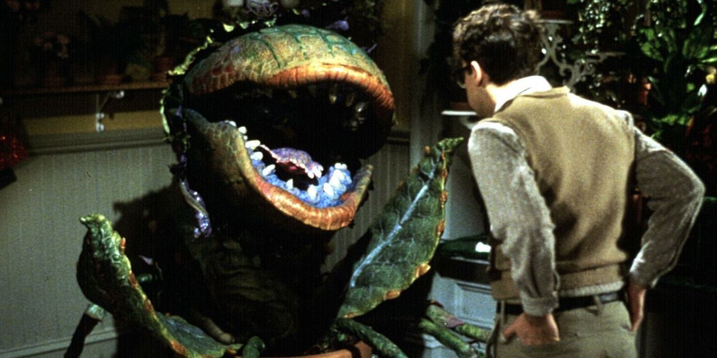 Little Shop of Horrors Entry 6