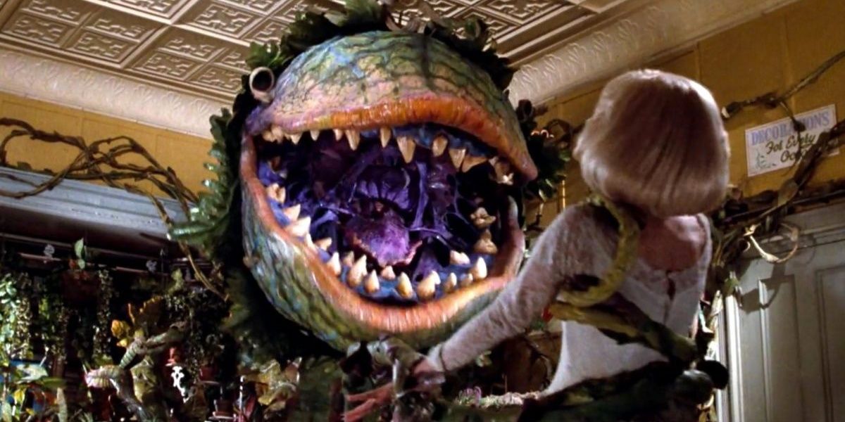 Little Shop of Horrors Entry 7