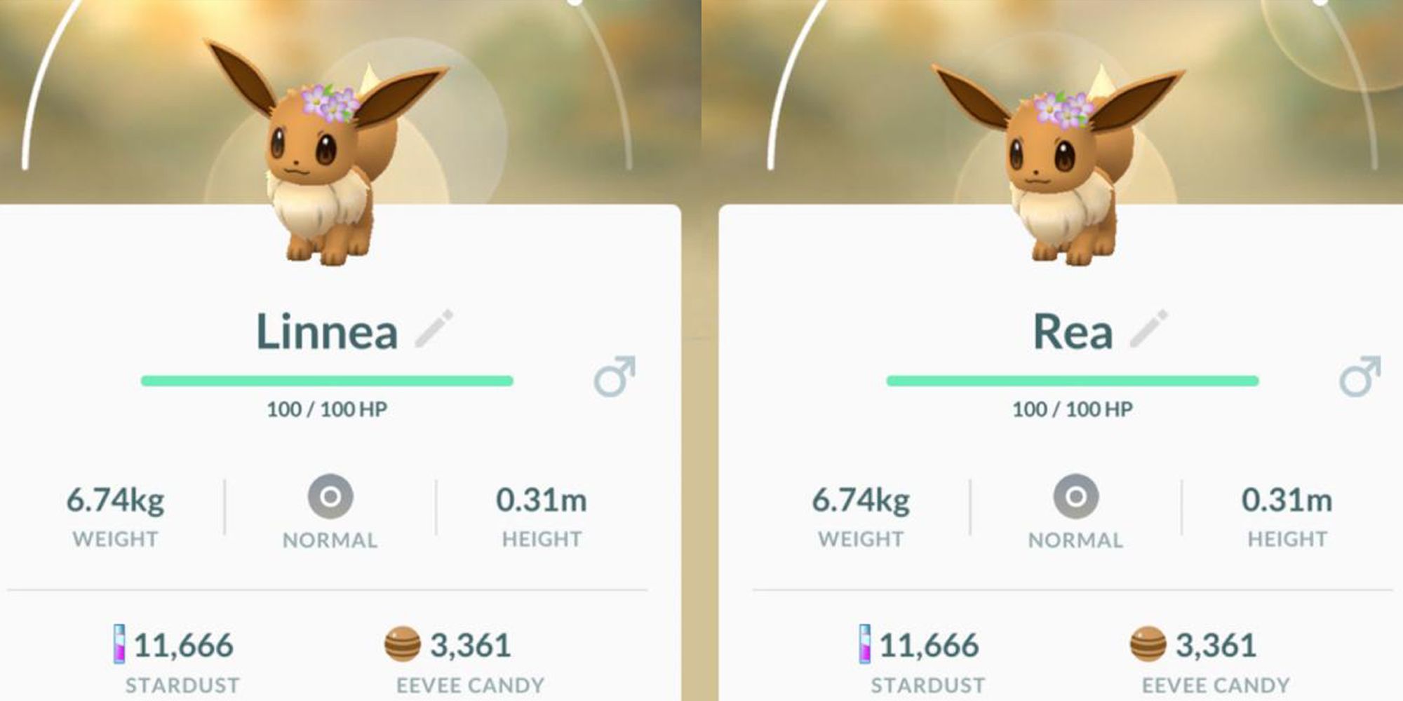 Pokemon Go: How To Evolve Eevee