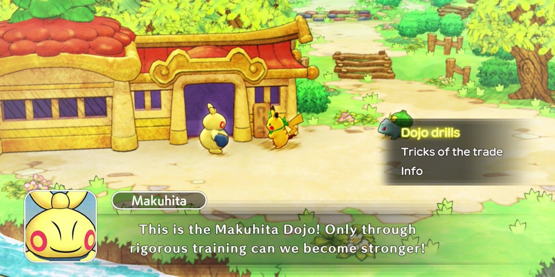 Makuhita talking in Pokémon Mystery Dungeon